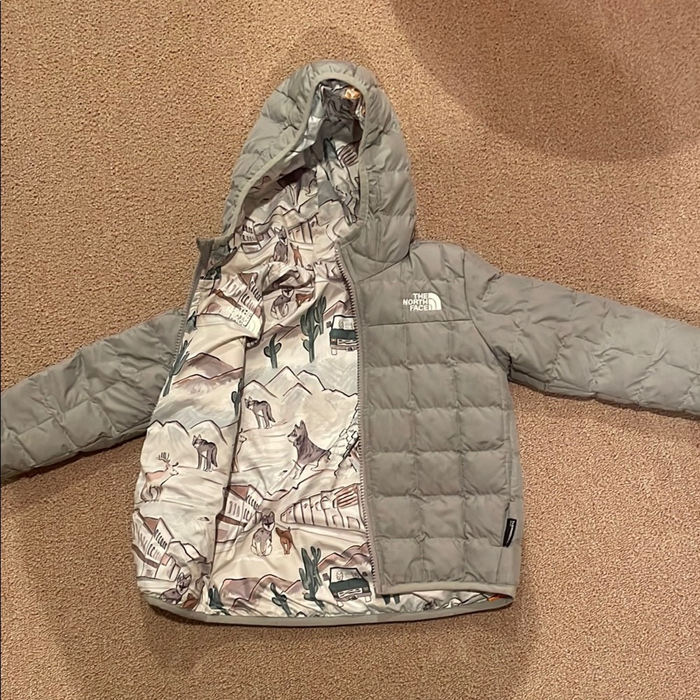 The North Face Kids Light Gray Puffer Jacket with Printed Lining